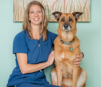 Staff Of Lacroix Veterinary Hospital Wilmington Nc Vets